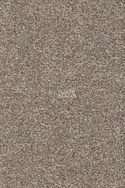 Ковролин AW Stainguard Harvest 47 фото 1 | FLOORDEALER